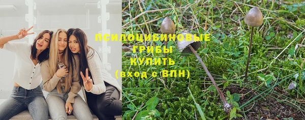 ешки Армянск