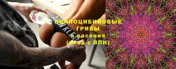 дживик Арсеньев
