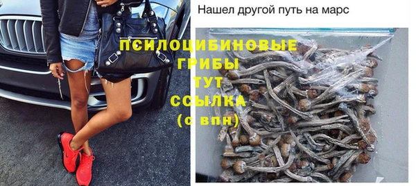 mdpv Аркадак