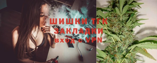 дживик Арсеньев